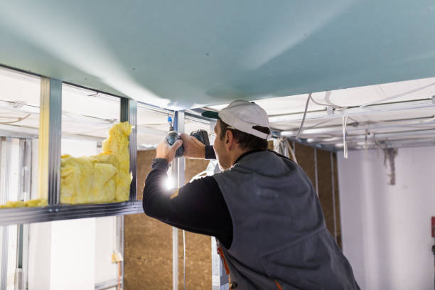 Best Crawl Space Insulation  in Lenexa, KS