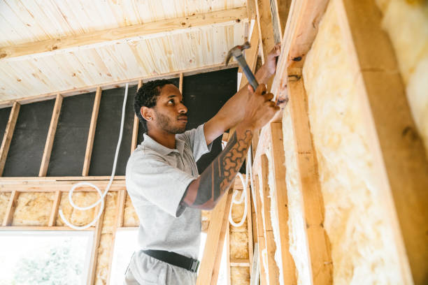 Best Attic Insulation Installation  in Lenexa, KS